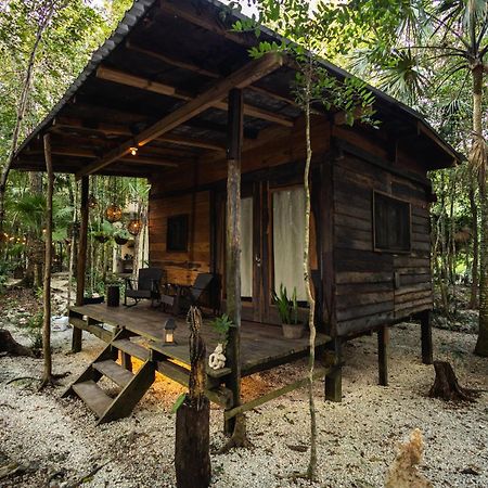 Cheel Lodge & Camping プエルト・モレロス エクステリア 写真