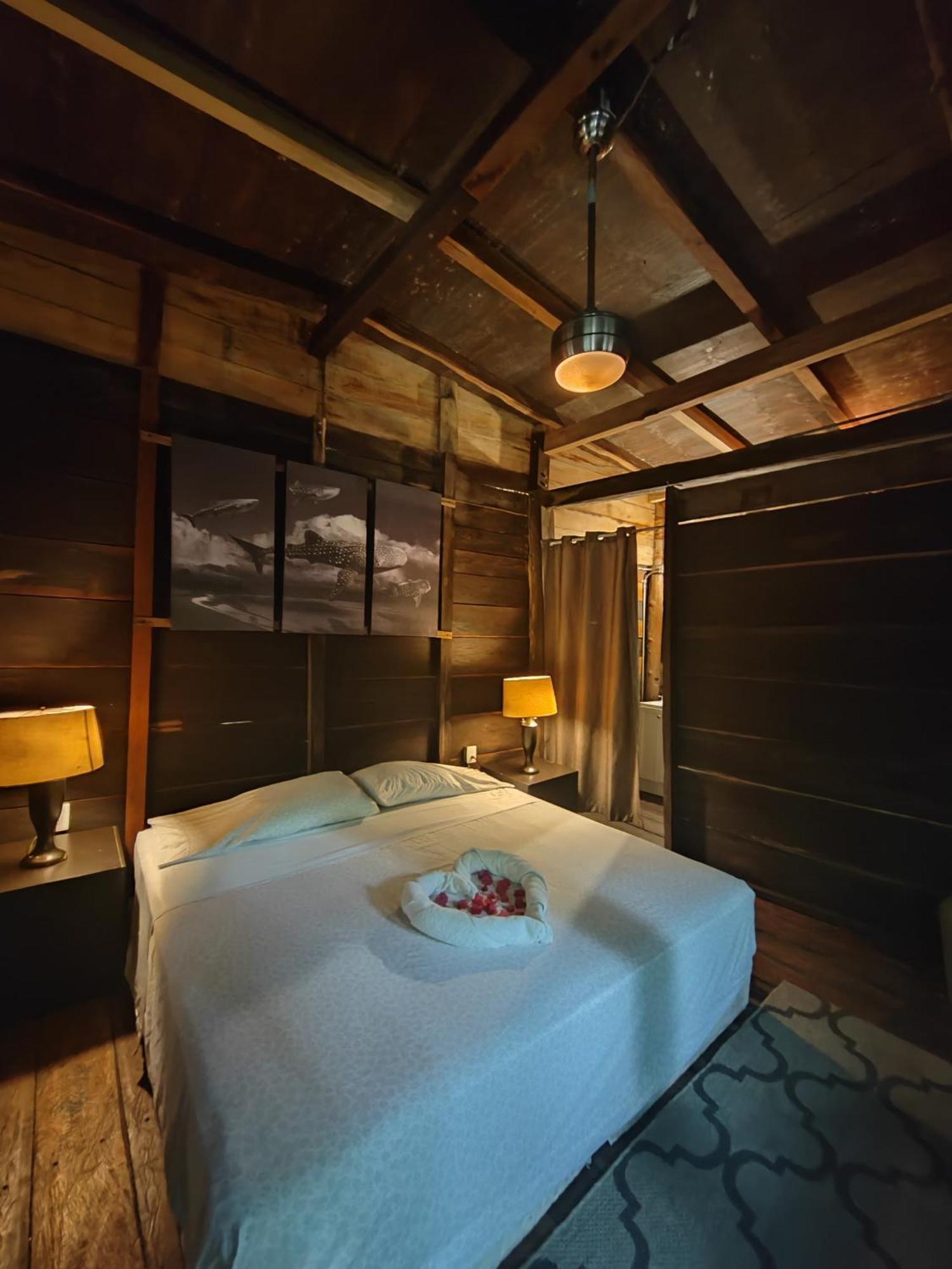 Cheel Lodge & Camping プエルト・モレロス エクステリア 写真