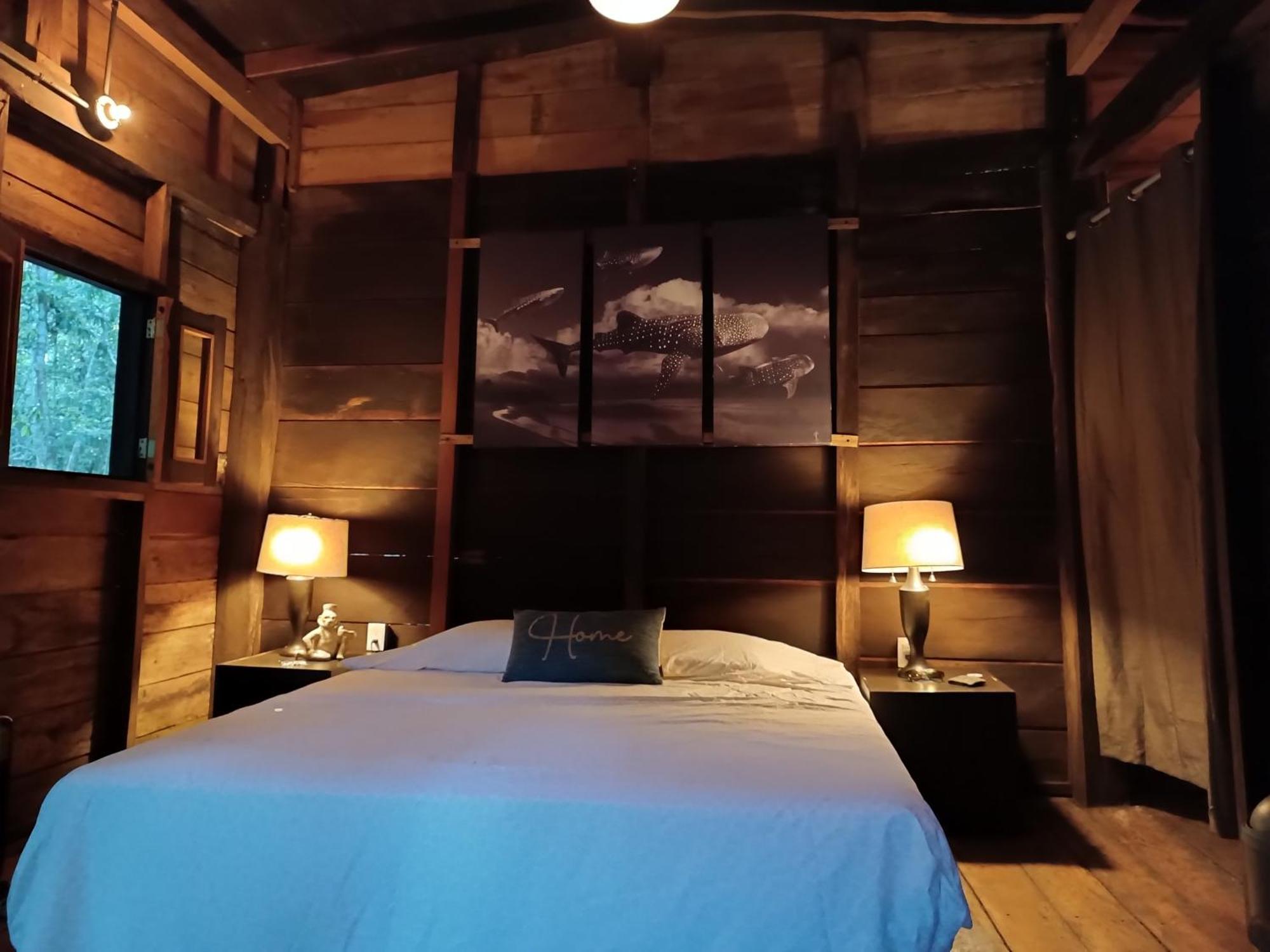 Cheel Lodge & Camping プエルト・モレロス 部屋 写真