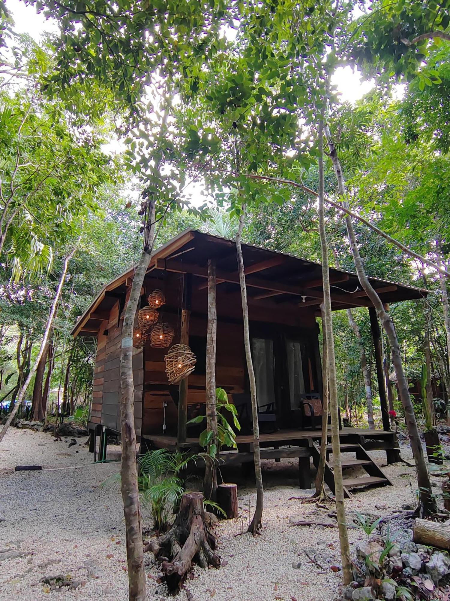 Cheel Lodge & Camping プエルト・モレロス エクステリア 写真