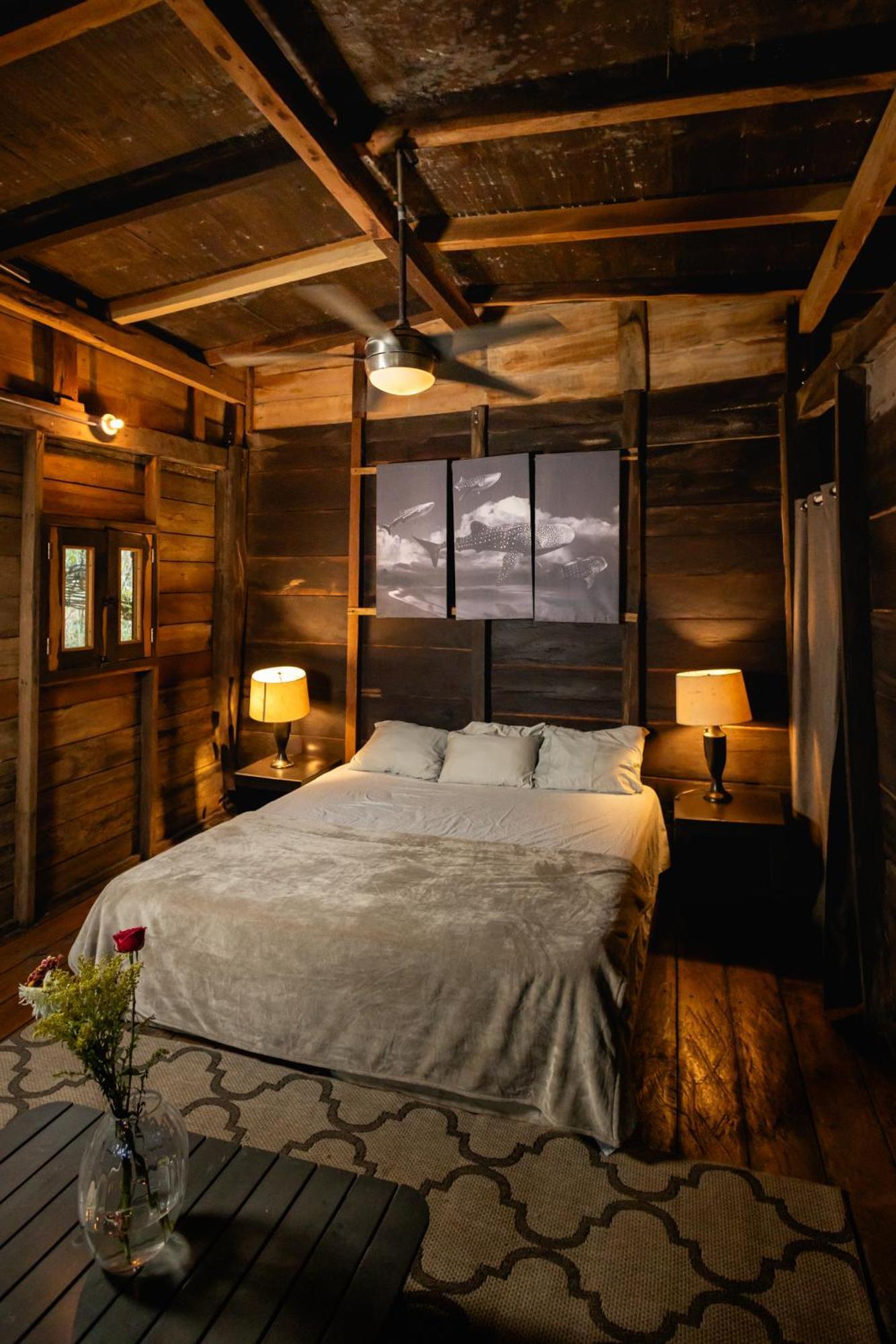 Cheel Lodge & Camping プエルト・モレロス エクステリア 写真