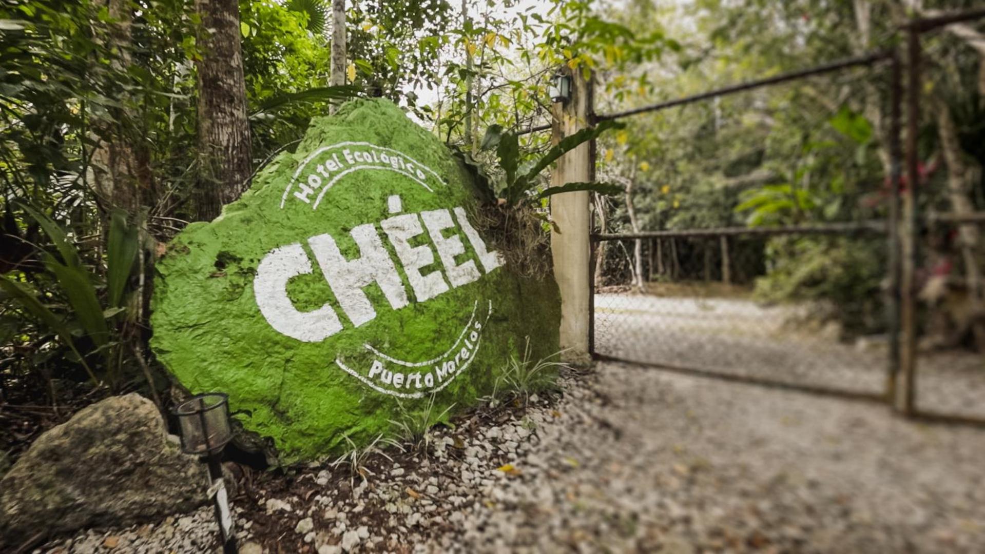 Cheel Lodge & Camping プエルト・モレロス エクステリア 写真